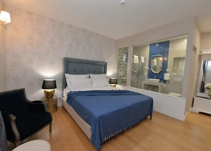 Pets Allowed Hotel Duke Luxury Rooms